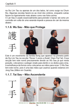 Capturar movimentos do Wing Chun
